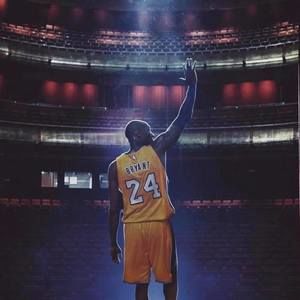 Meet your Posher, Susie